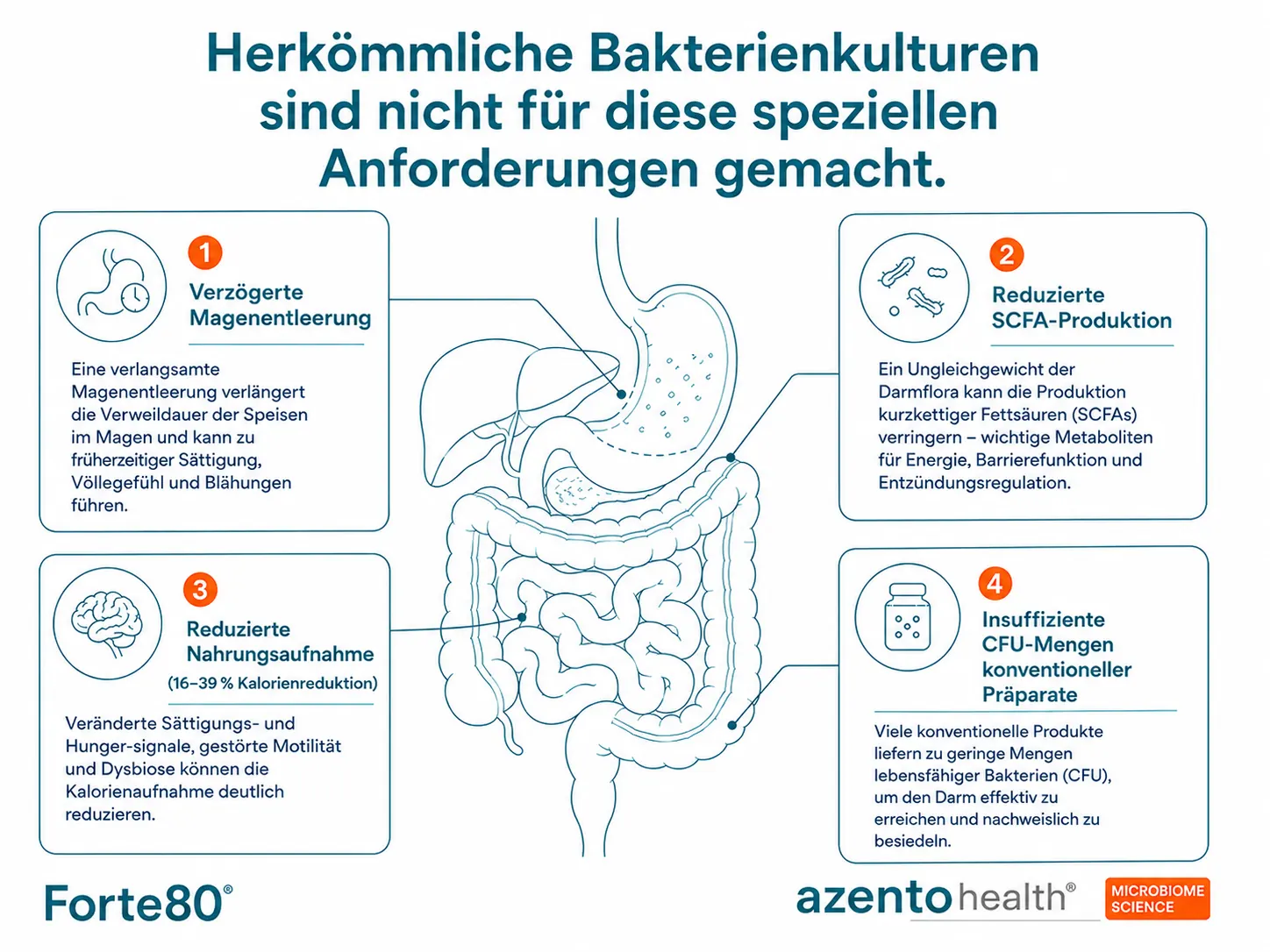 Anatomische Infografik: Verzögerte Magenentleerung, reduzierte SCFA-Produktion, reduzierte Nahrungsaufnahme und insuffiziente KBE-Mengen konventioneller Präparate