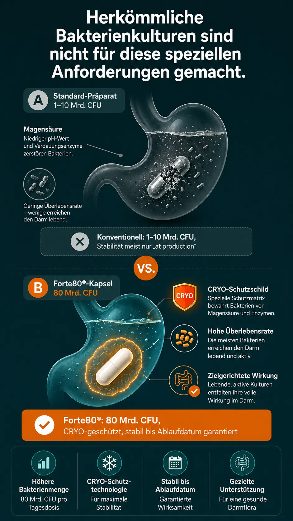 A/B Vergleich: Standard-Präparat zerfällt in Magensäure vs. Forte80® mit CRYO-Schutzschild – 80 Mrd. KBE erreichen lebend den Darm